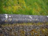 image of grave number 828330